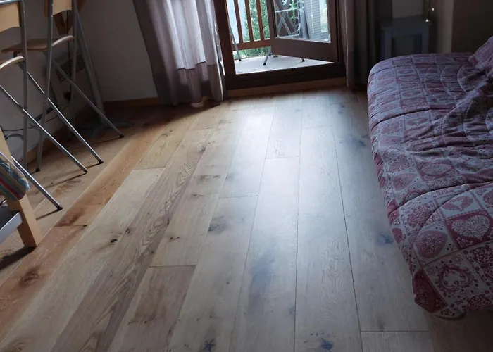 Studio Ski Apartment * Les Deux Alpes