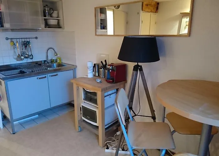 Studio Ski Apartment * Les Deux Alpes